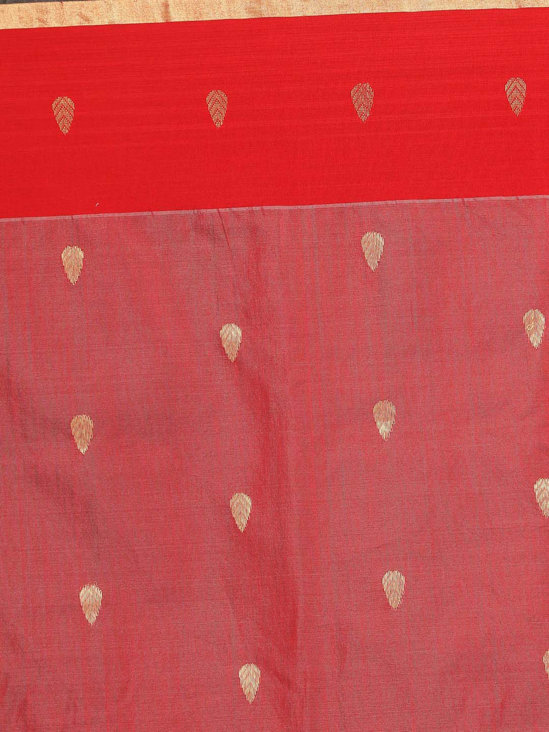 Indethnic Chanderi Handloom Silk Cotton Saree - Saree Detail View