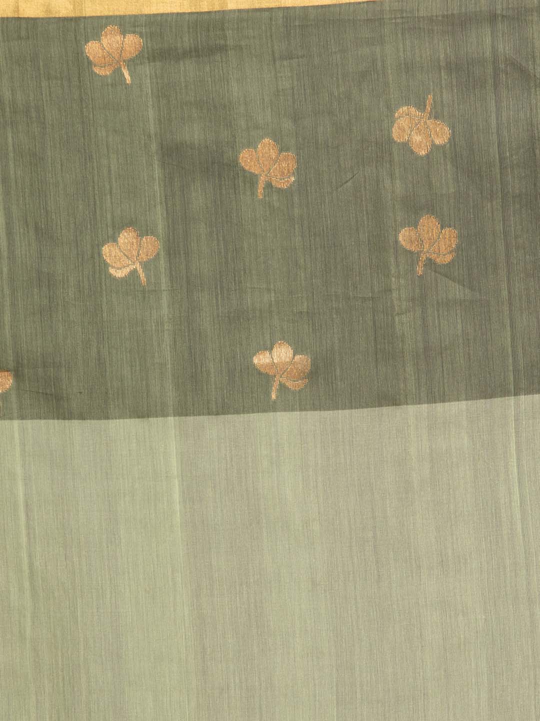 Indethnic Chanderi Handloom Silk Cotton Saree - Saree Detail View