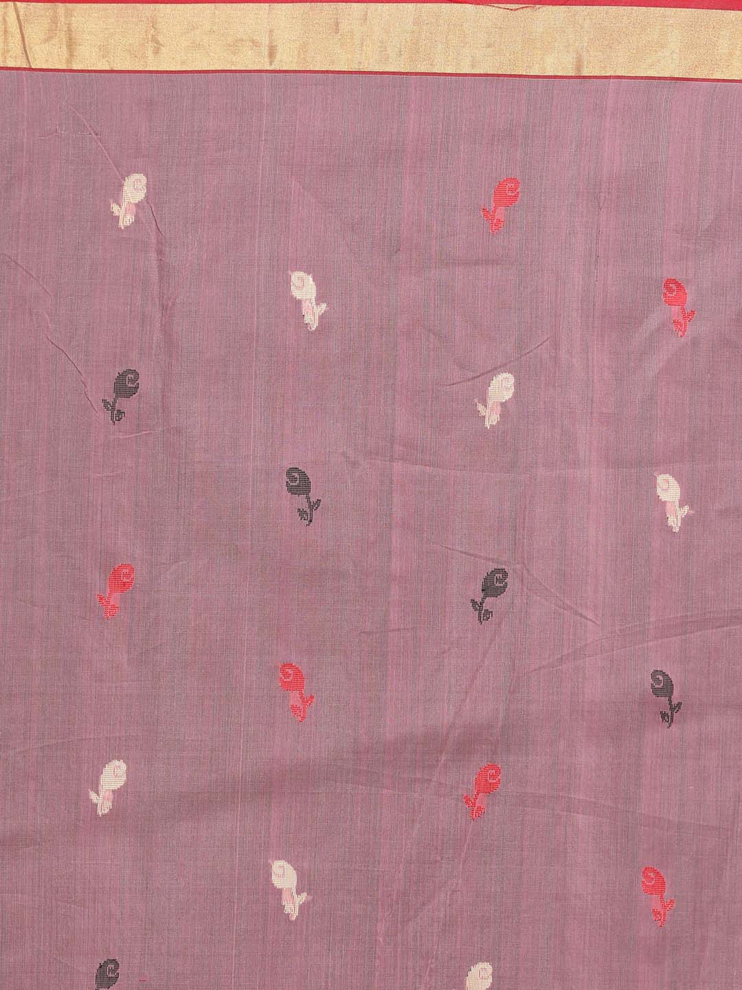 Indethnic Chanderi Handloom Silk Cotton Saree - Saree Detail View