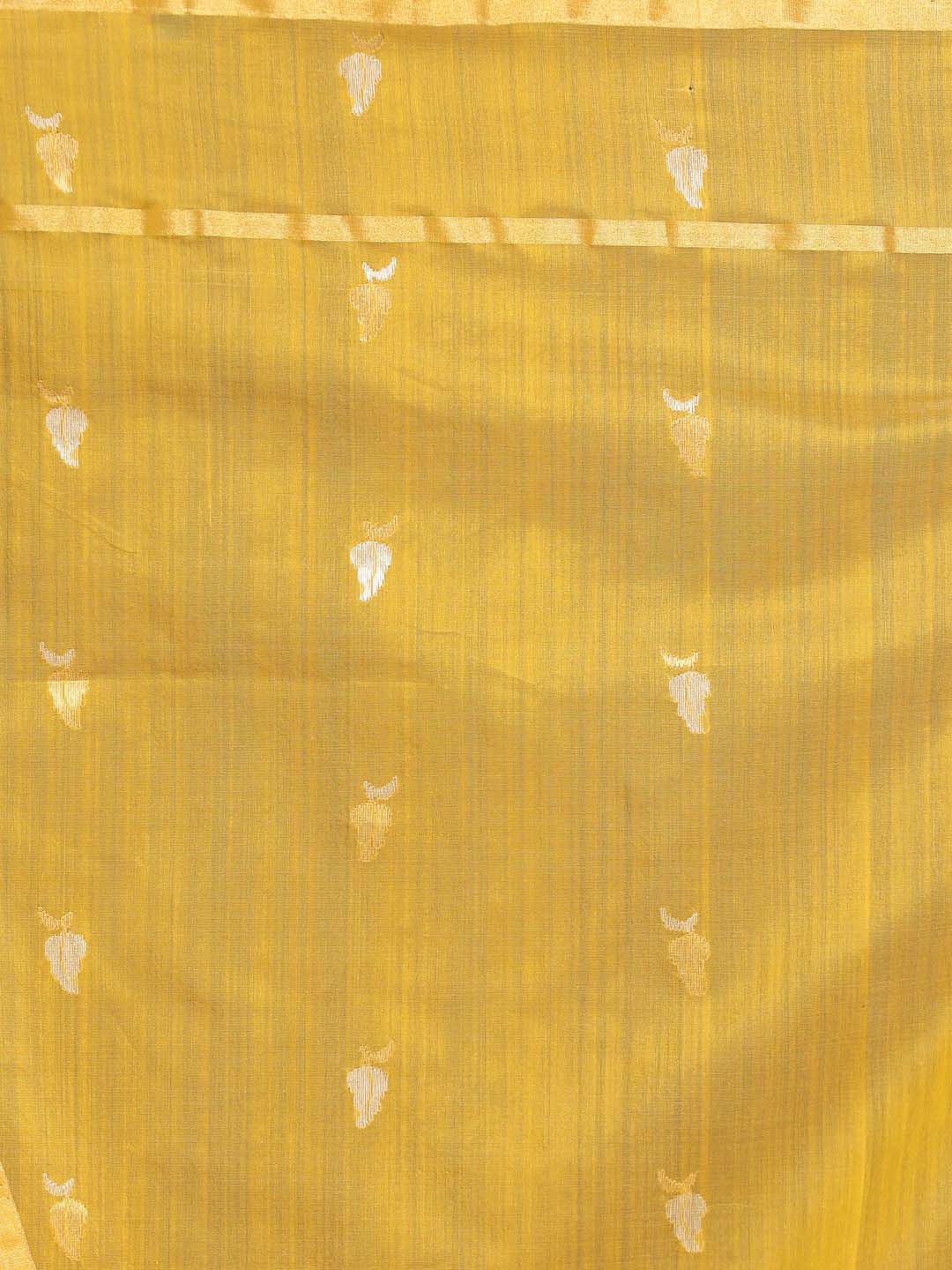 Indethnic Chanderi Handloom Silk Cotton Saree - Saree Detail View