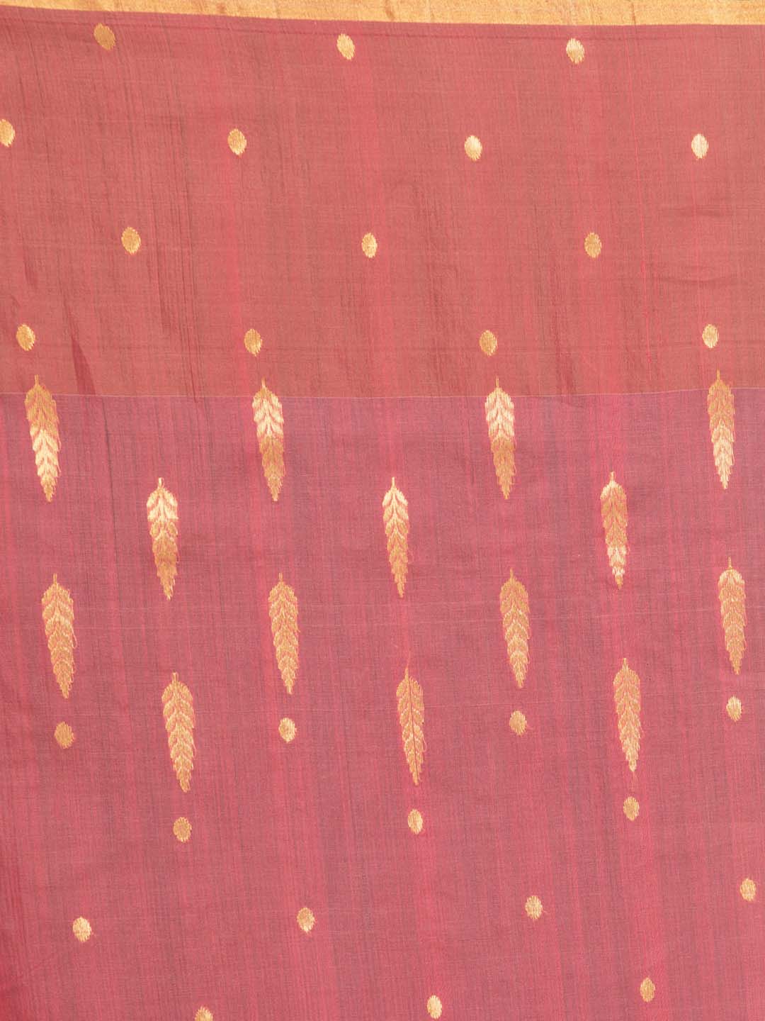 Indethnic Chanderi Handloom Silk Cotton Saree - Saree Detail View