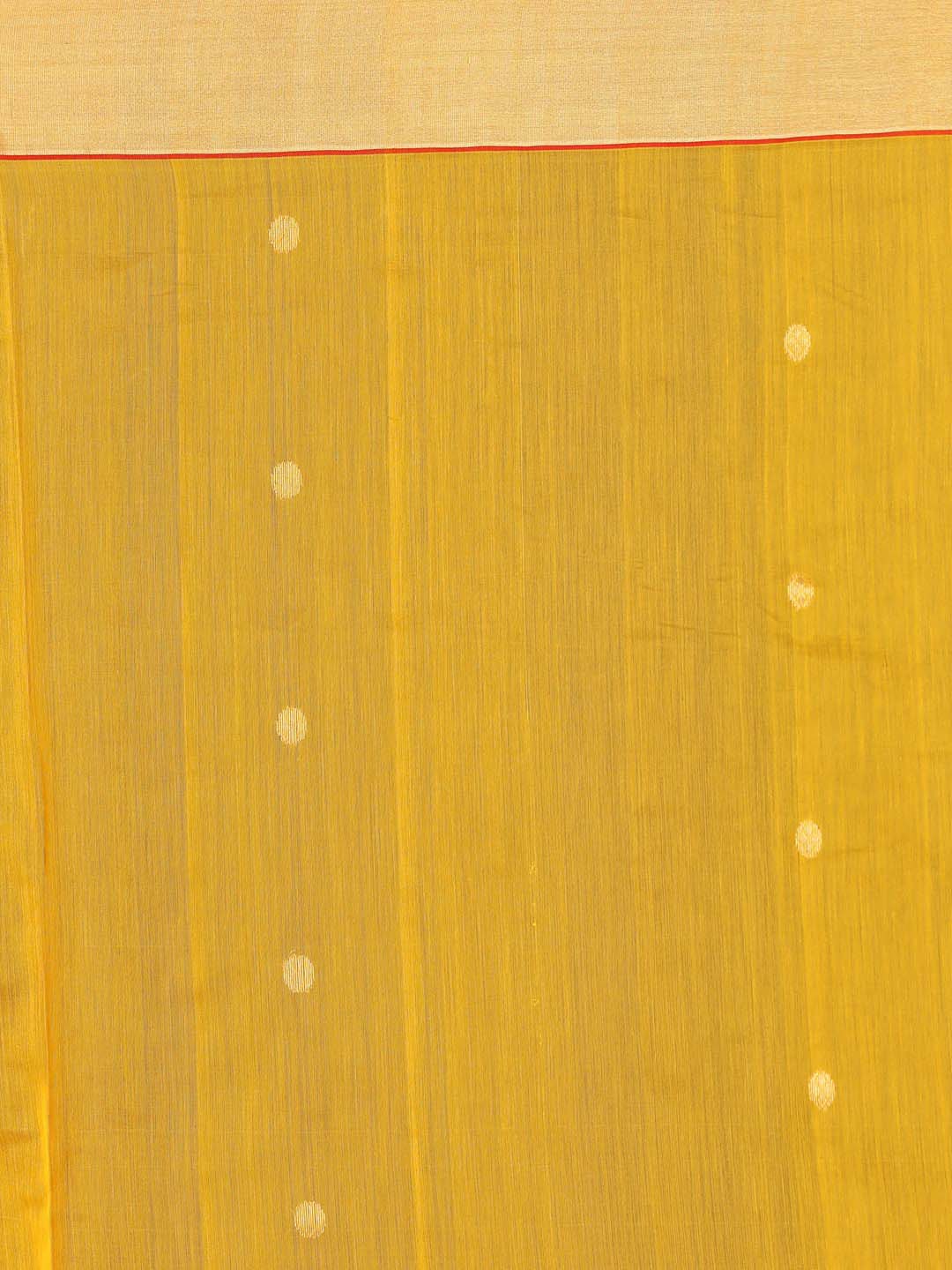 Indethnic Chanderi Handloom Silk Cotton Saree - Saree Detail View