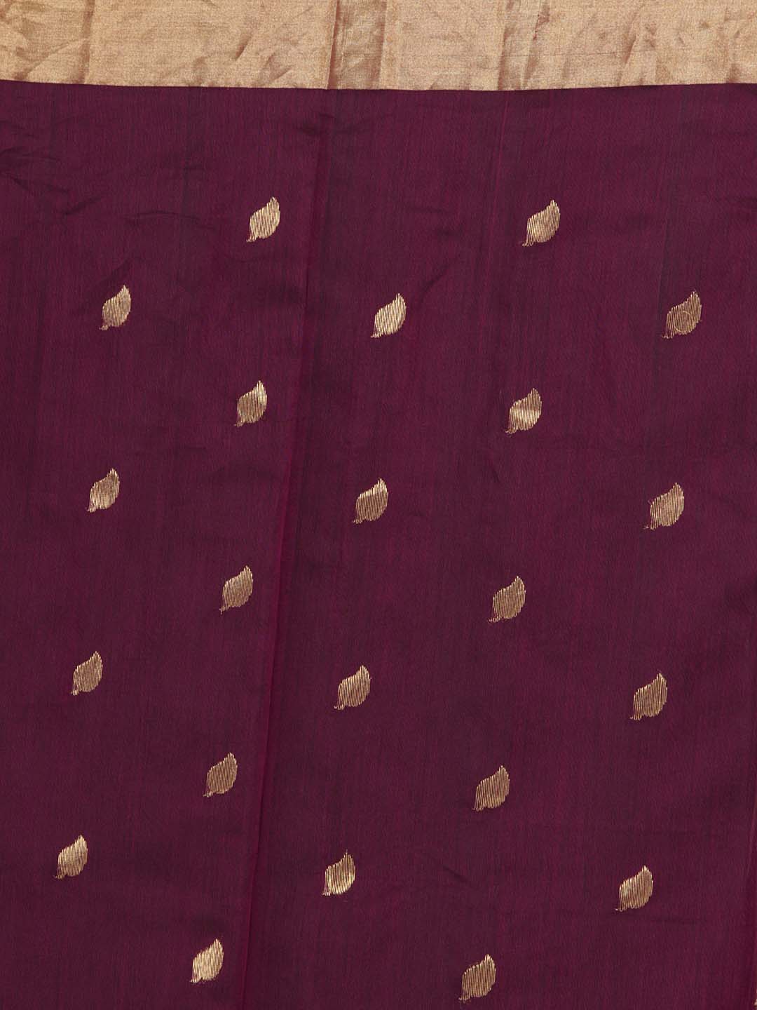 Indethnic Chanderi Handloom Silk Cotton Saree - Saree Detail View