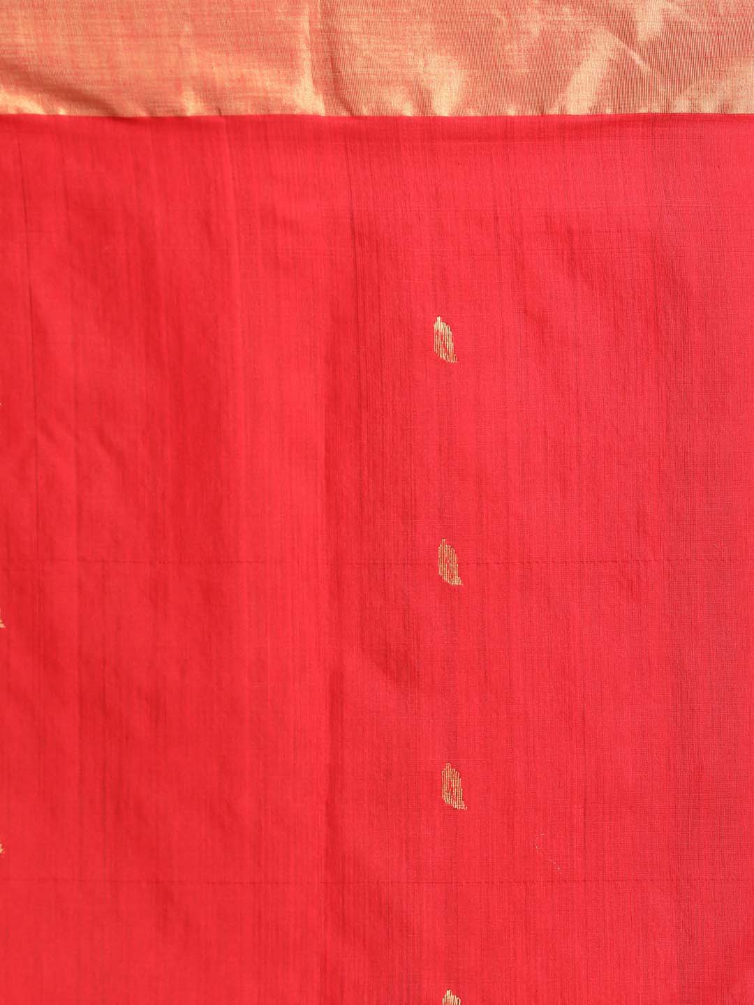 Indethnic Chanderi Handloom Silk Cotton Saree - Saree Detail View