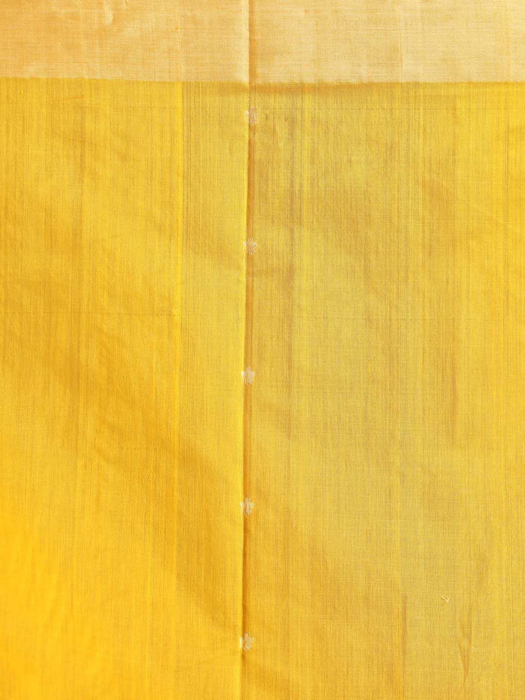 Indethnic Chanderi Handloom Silk Cotton Saree - Saree Detail View