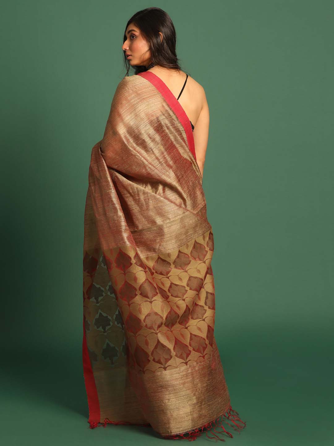 Indethnic Beige Pure Silk Ethnic Motifs Design Jamdani - View 3