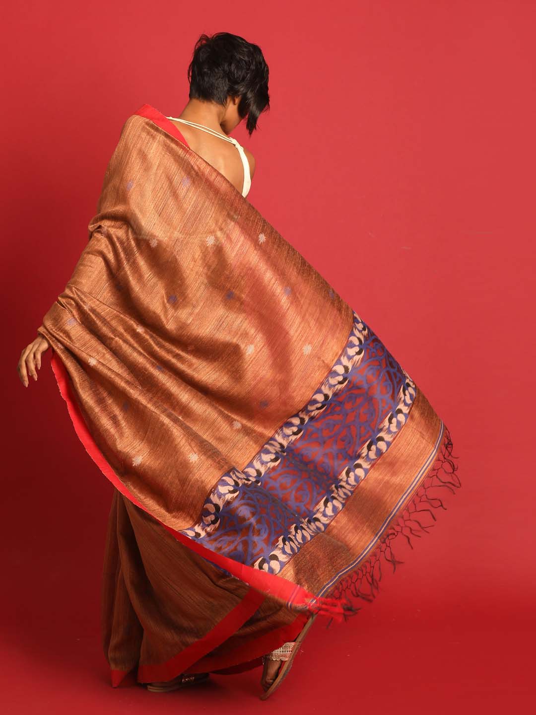 Indethnic Rust Pure Silk Ethnic Motifs Design Jamdani - View 3
