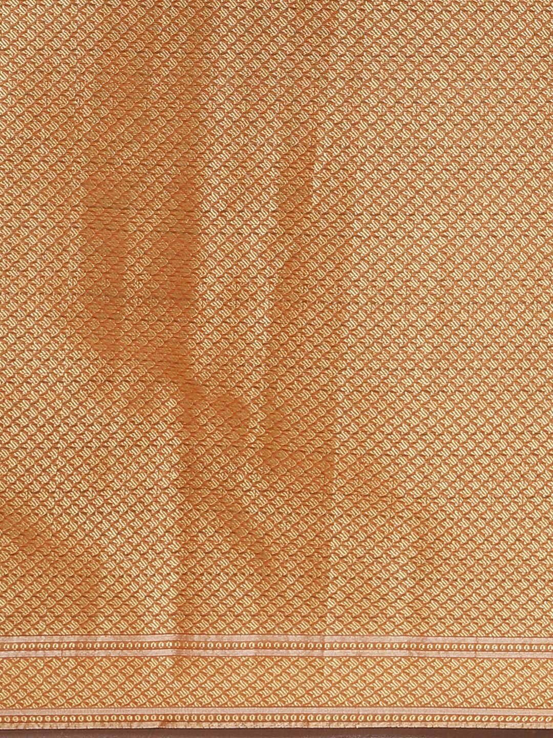 Indethnic Banarasi Brown Woven Design Traditional Wear Saree - Saree Detail View