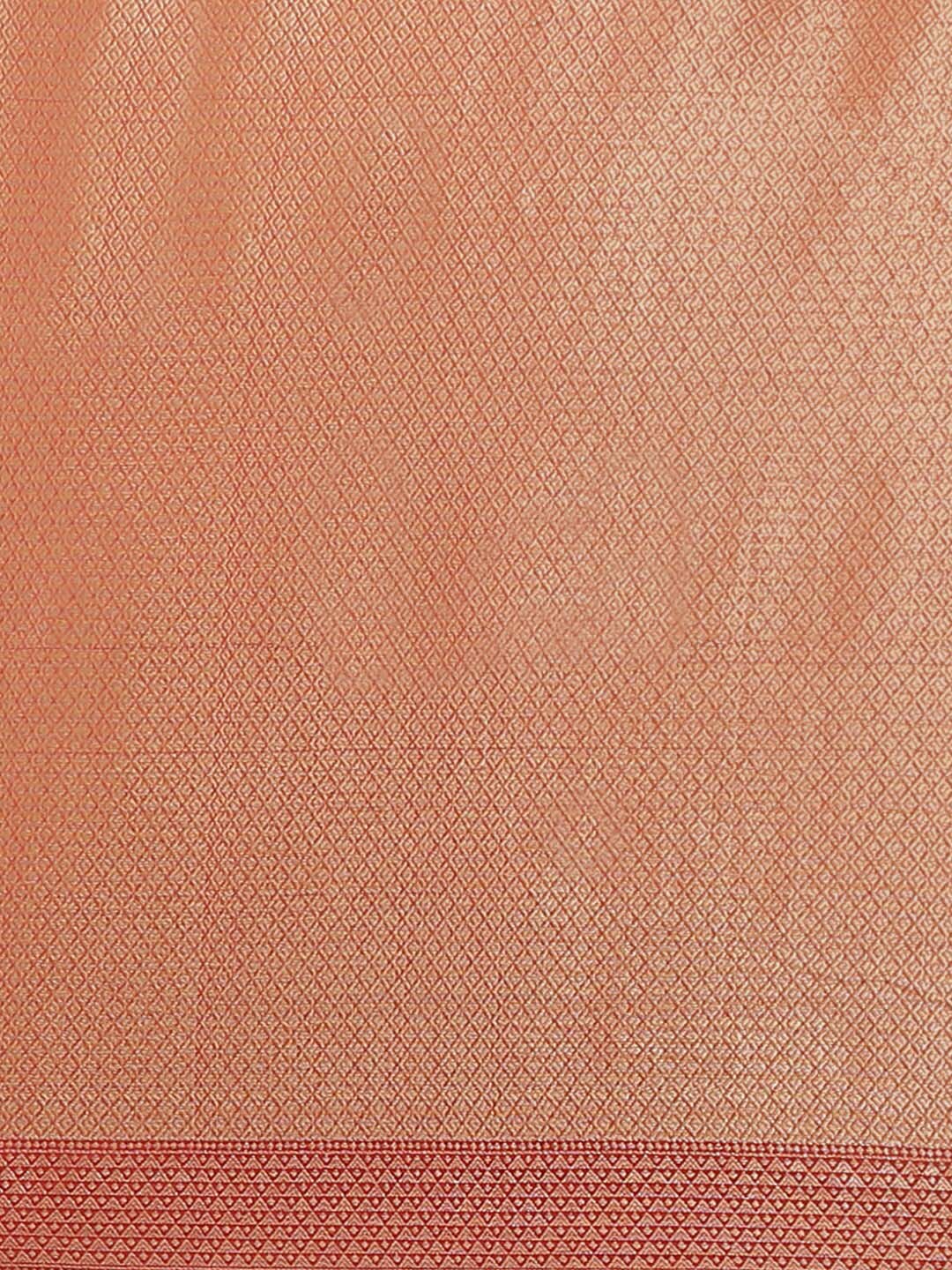 Indethnic Banarasi Rust Woven Design Festive Wear Saree - Saree Detail View